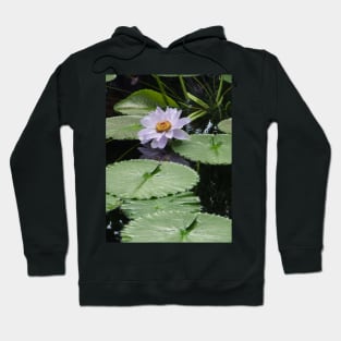 Lilac Waterlily Kew Gardens Hoodie